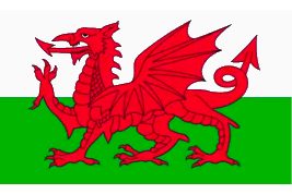 Wales EK 2024 Voetbalshirts